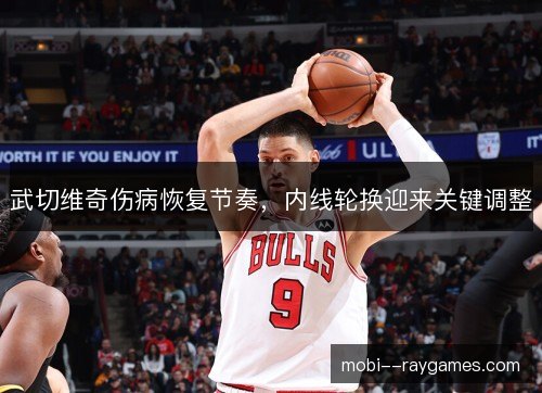 武切维奇伤病恢复节奏，内线轮换迎来关键调整